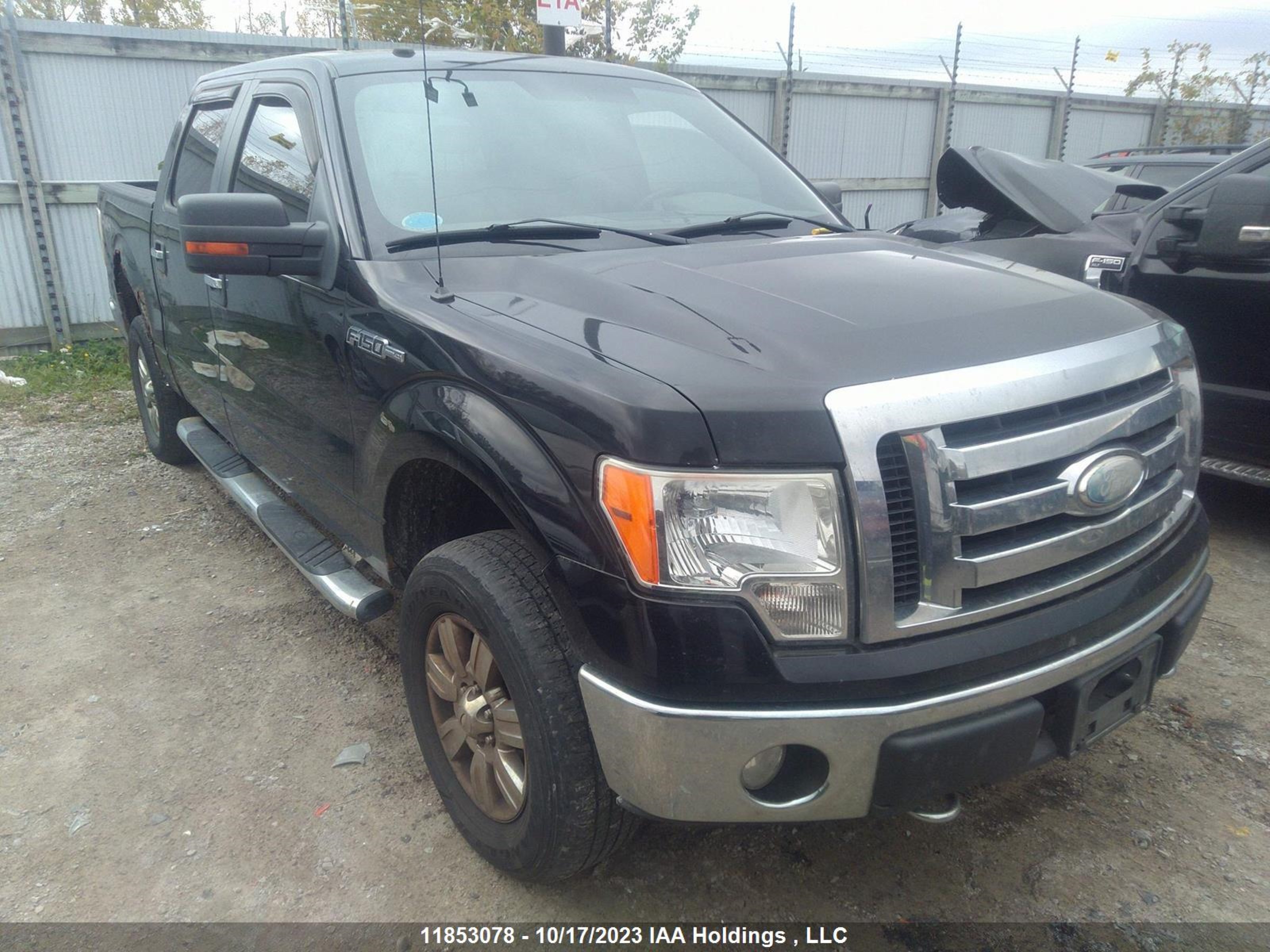 FORD ALL 2009 1ftpw14v19fb24541