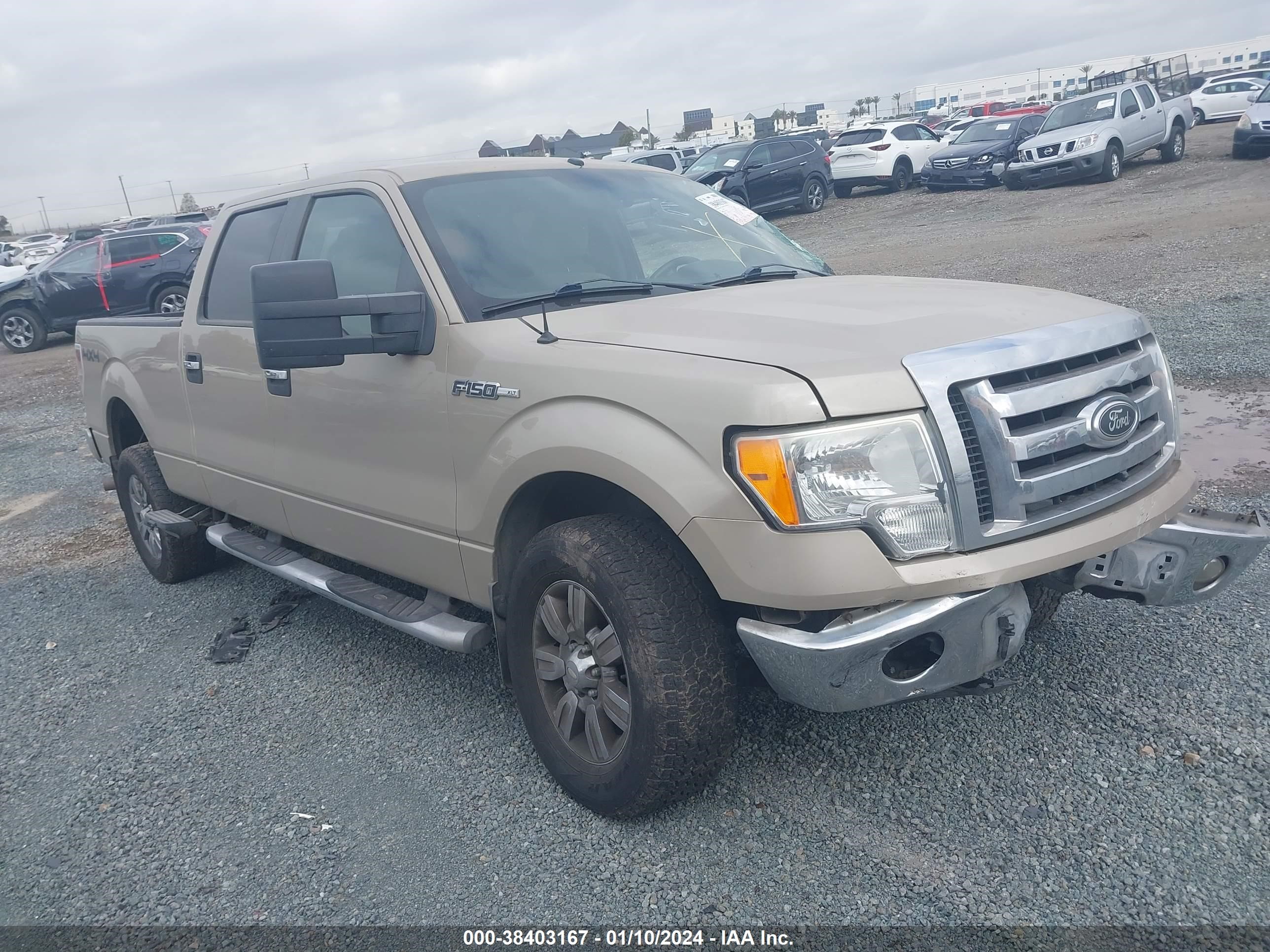 FORD F-150 2009 1ftpw14v19kb89994