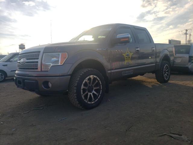 FORD F-150 2009 1ftpw14v29fa06630