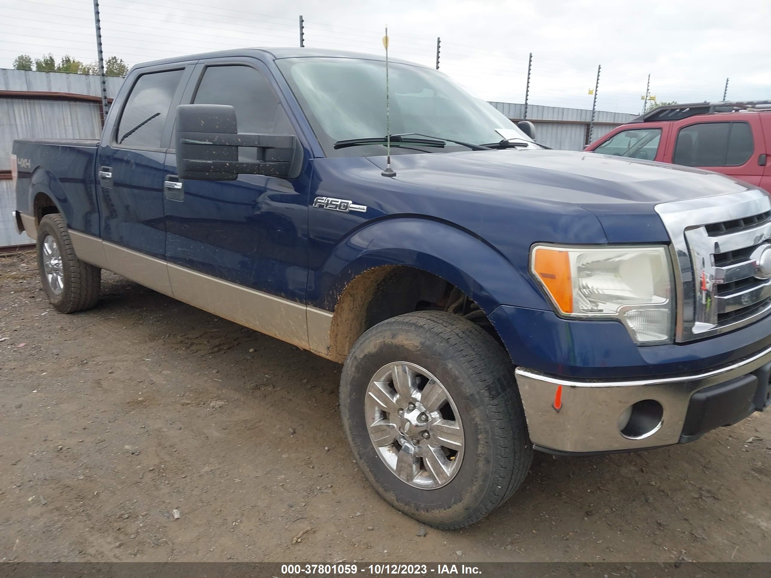 FORD F-150 2009 1ftpw14v29fb01270