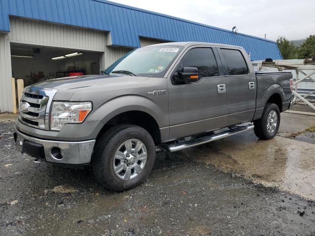 FORD F150 SUPER 2009 1ftpw14v39fa82048