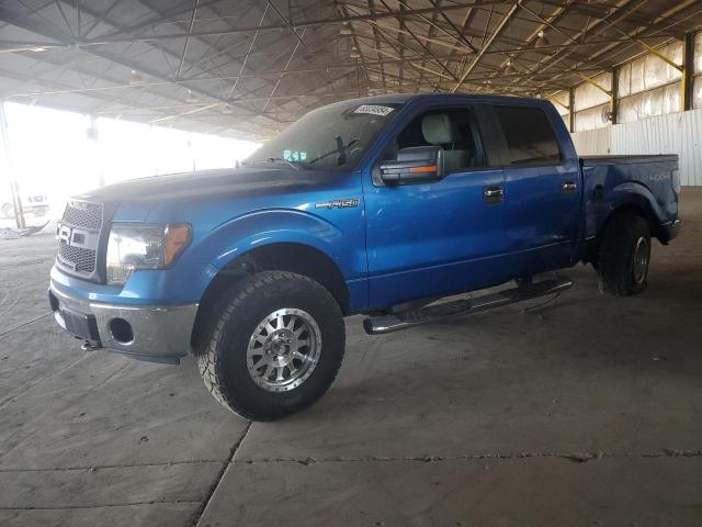 FORD F-150 2009 1ftpw14v49fb17034