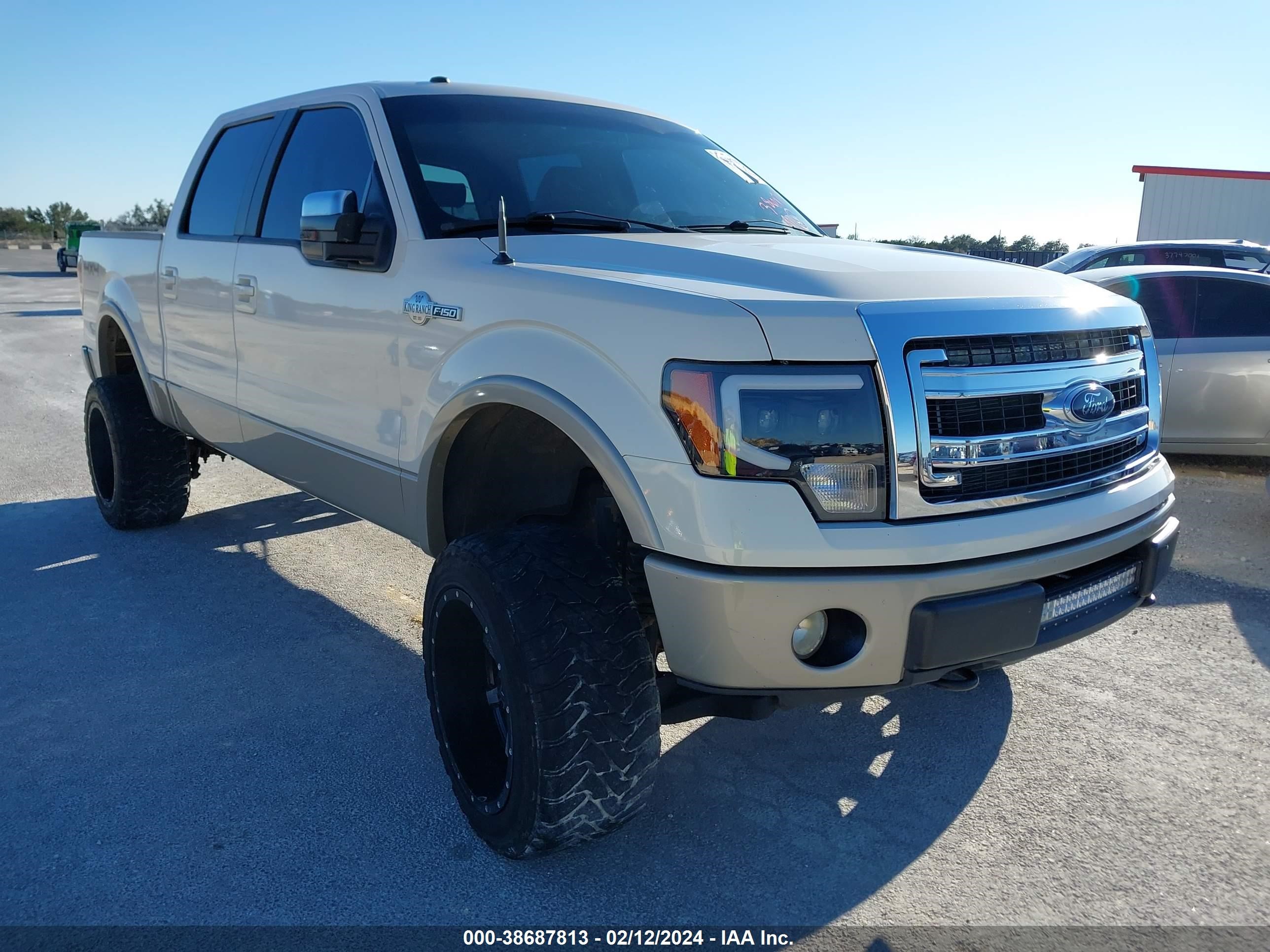 FORD F-150 2009 1ftpw14v49kb37565