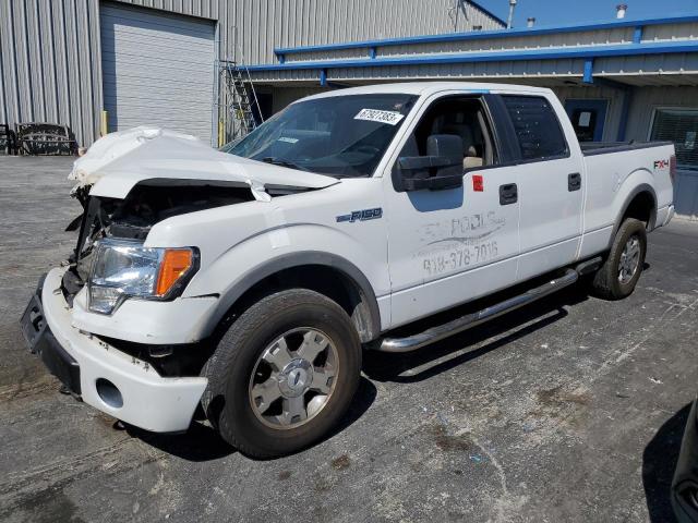 FORD F-150 2009 1ftpw14v49kc71525