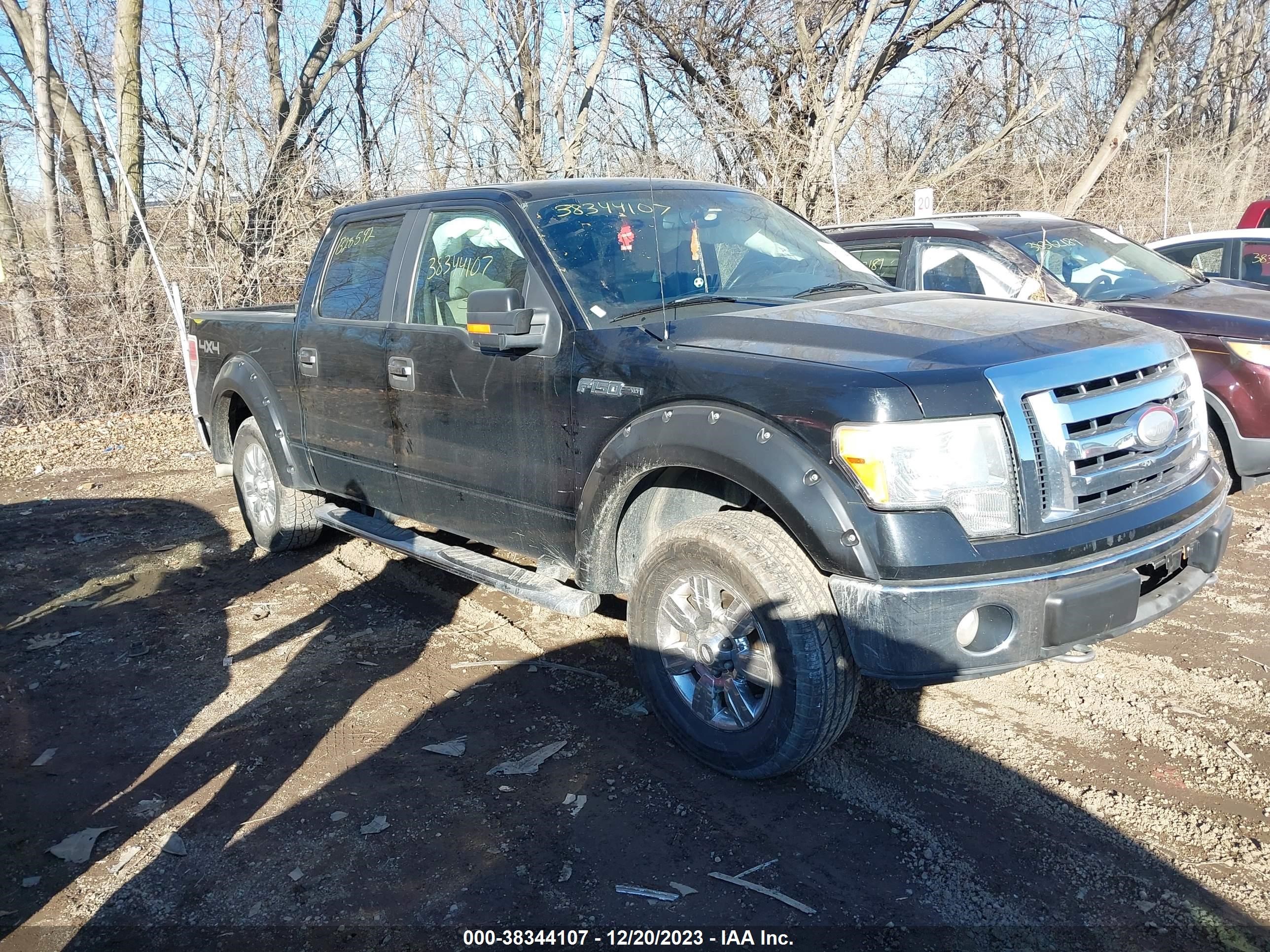 FORD F-150 2009 1ftpw14v59fb28592