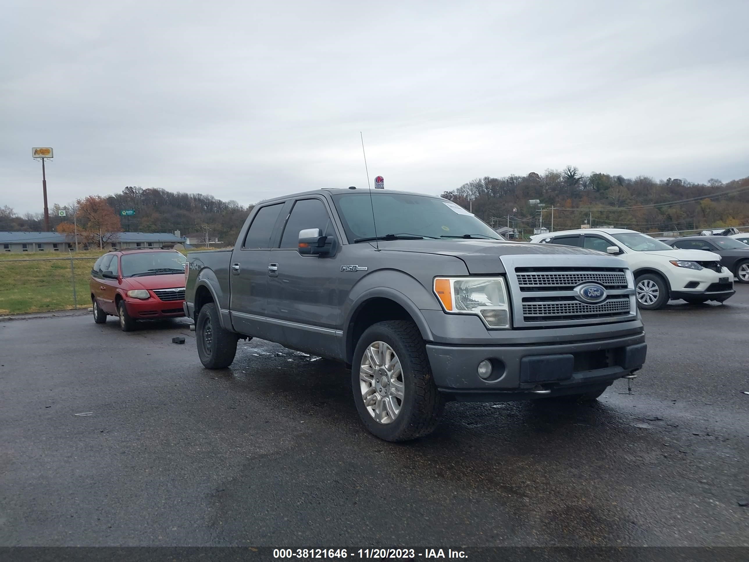 FORD F-150 2009 1ftpw14v59fb41312