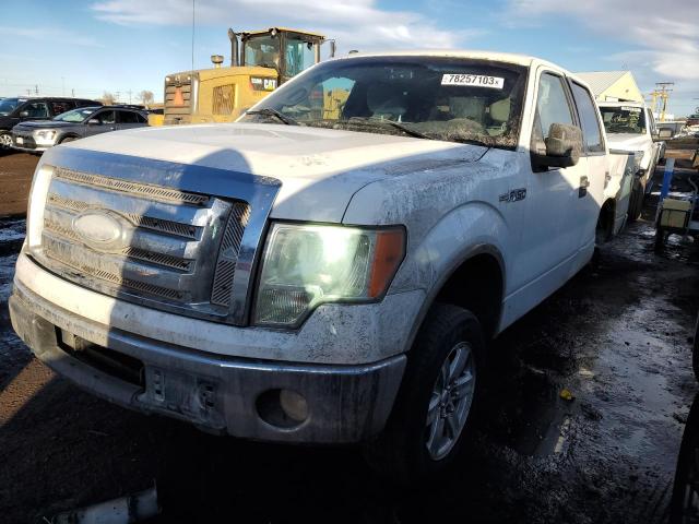 FORD F-150 2009 1ftpw14v69fa29537