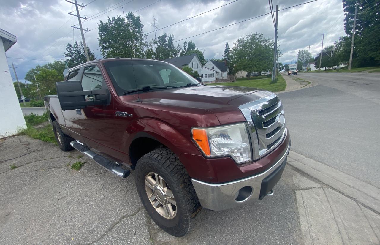 FORD F-150 2009 1ftpw14v69fb29363