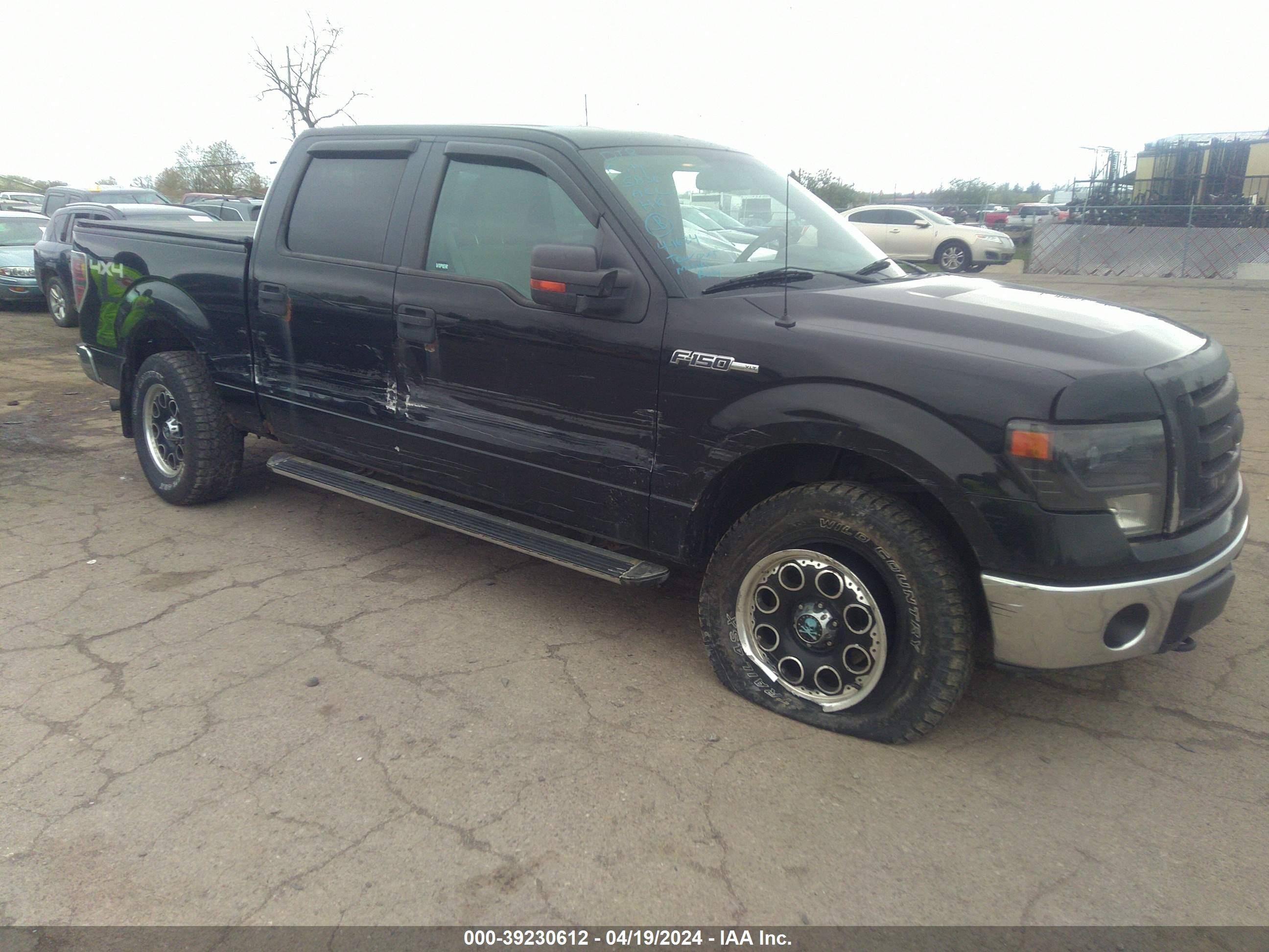 FORD F-150 2009 1ftpw14v69kb12389