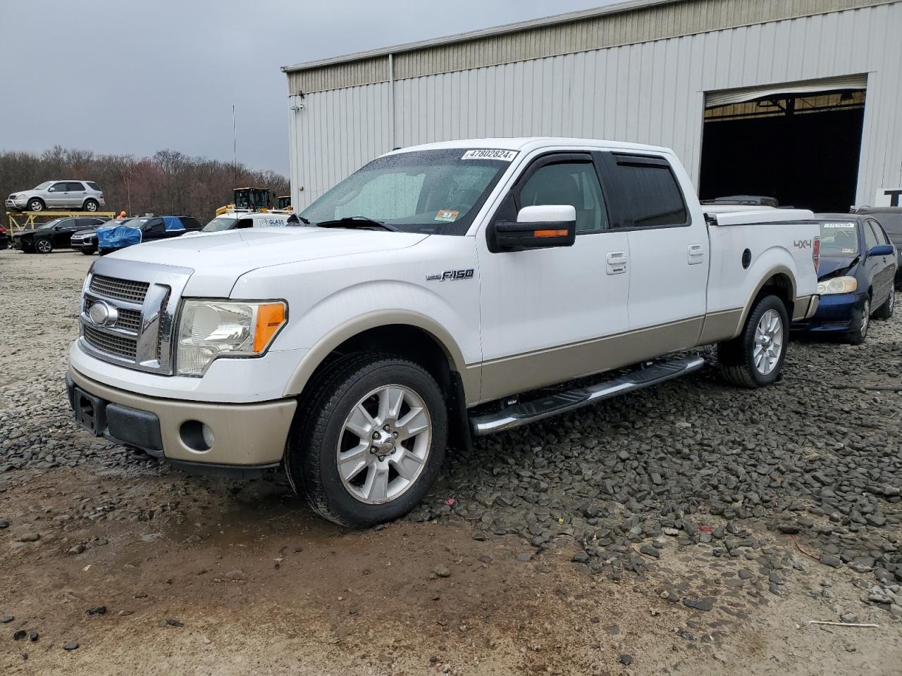 FORD F-150 2009 1ftpw14v79fa03724