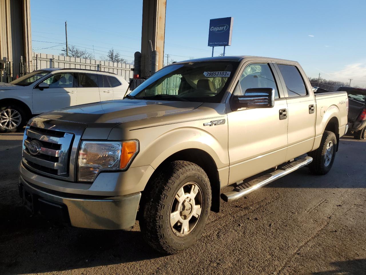 FORD F-150 2009 1ftpw14v79fb03788