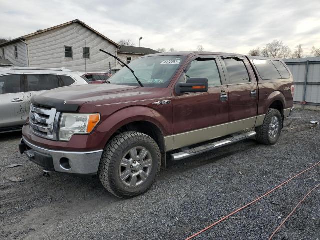 FORD F-150 2009 1ftpw14v79fb34796