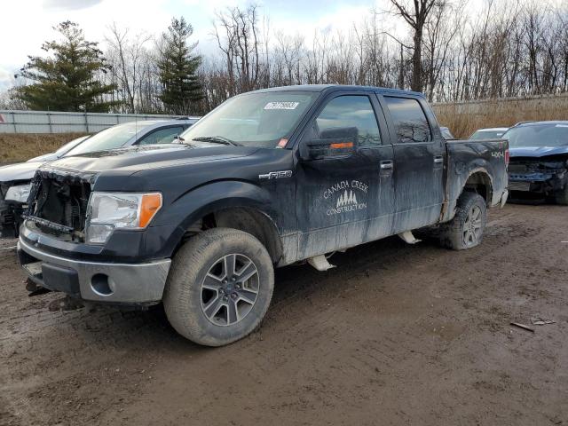 FORD F-150 2009 1ftpw14v89fa36960