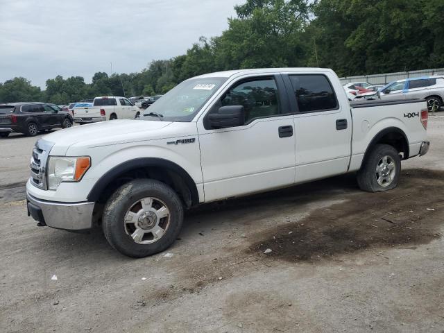 FORD F150 SUPER 2009 1ftpw14v89kc73343