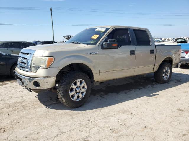 FORD F-150 2009 1ftpw14v89kc94824