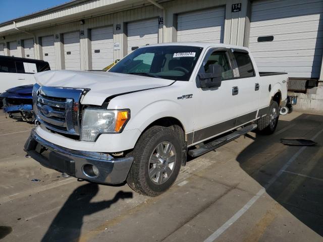 FORD F-150 2009 1ftpw14v99fa54402