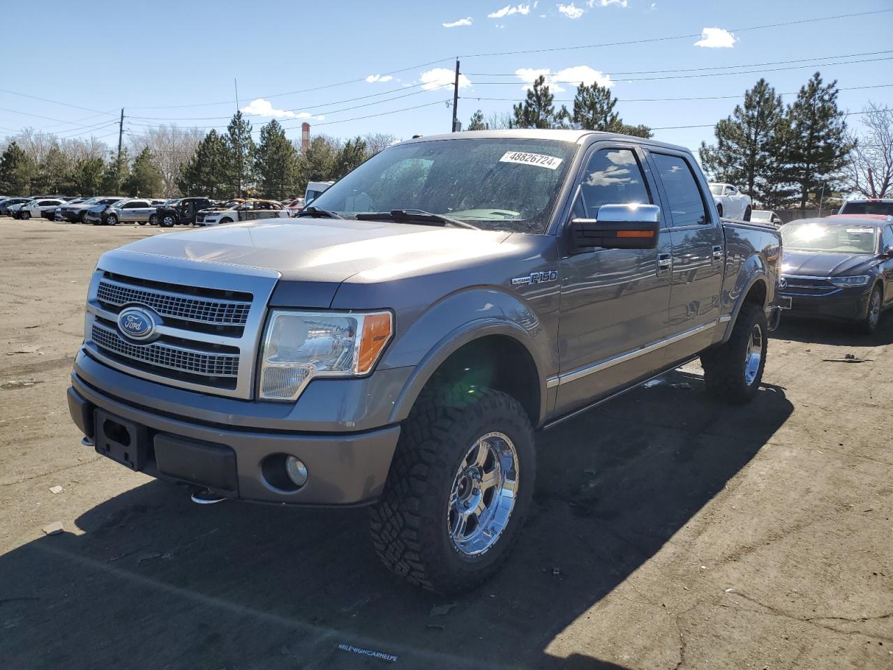 FORD F-150 2009 1ftpw14v99fa76657