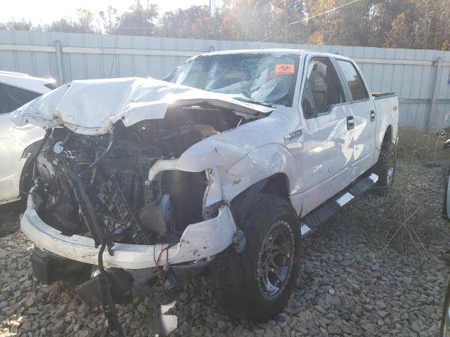 FORD F-150 2009 1ftpw14v99fa96827