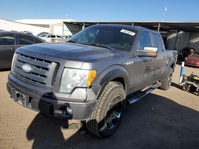 FORD F-150 2009 1ftpw14v99fa98464