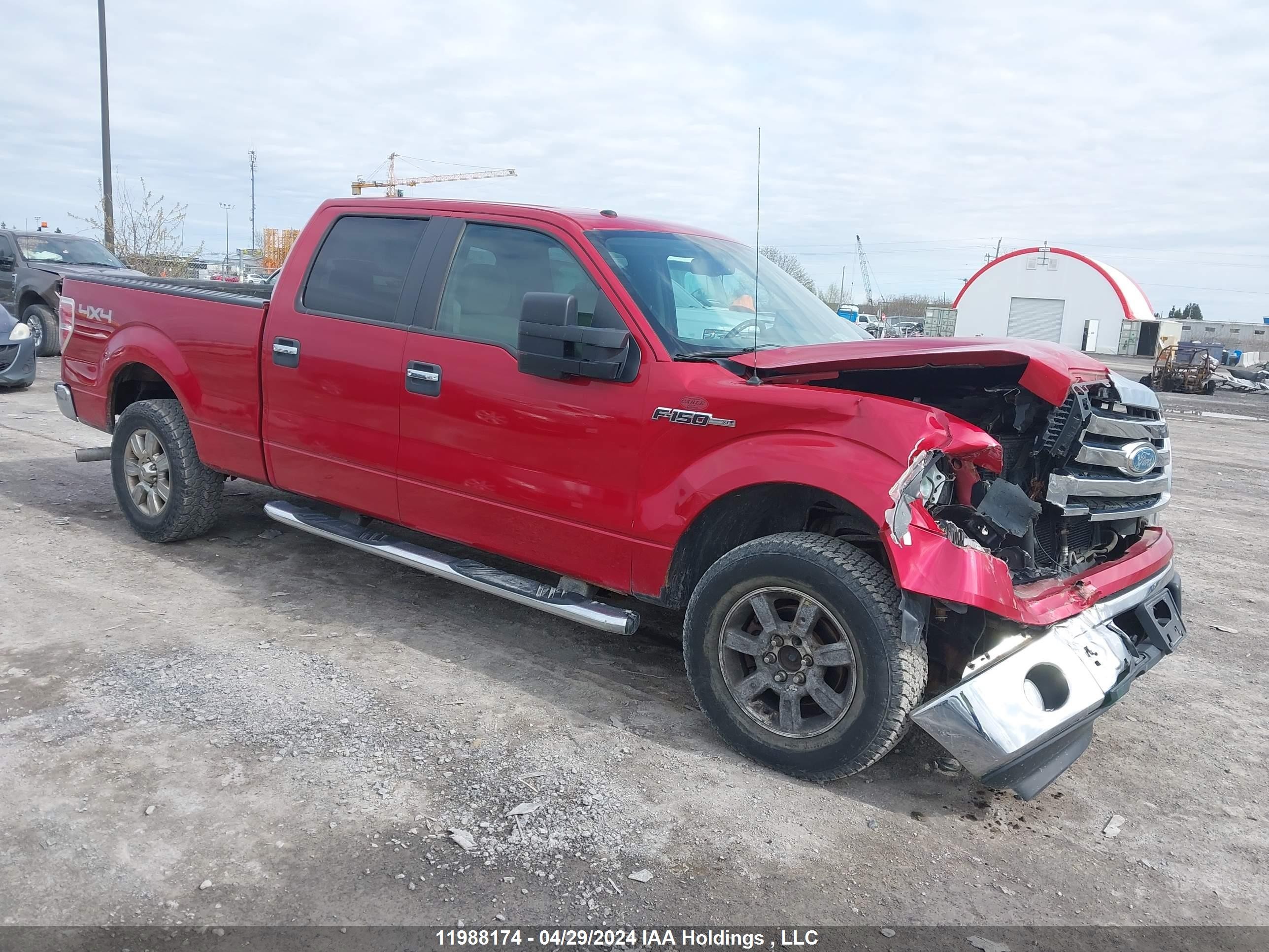 FORD F-150 2009 1ftpw14v99fb43886