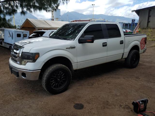 FORD F150 SUPER 2009 1ftpw14v99fb48473