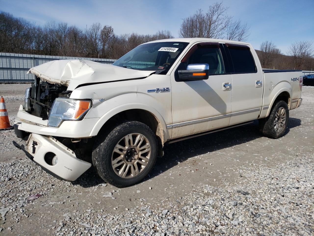 FORD F-150 2009 1ftpw14vx9fa05788