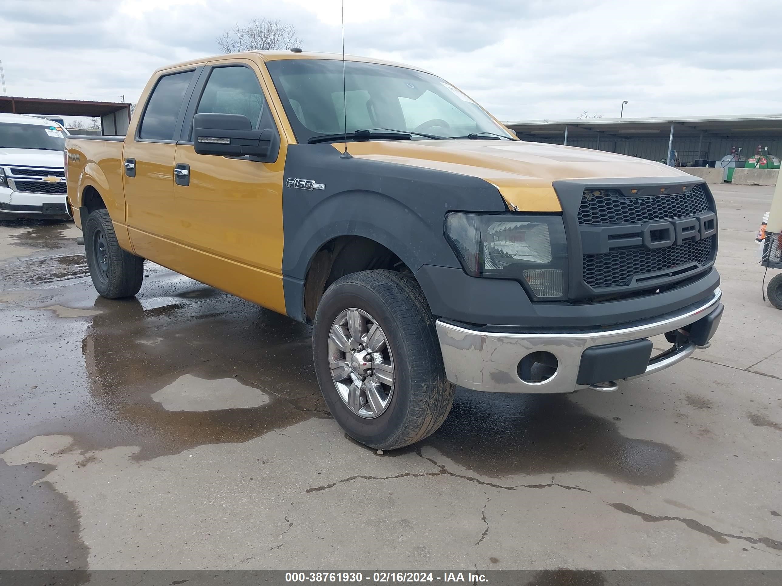 FORD F-150 2009 1ftpw14vx9kb48697