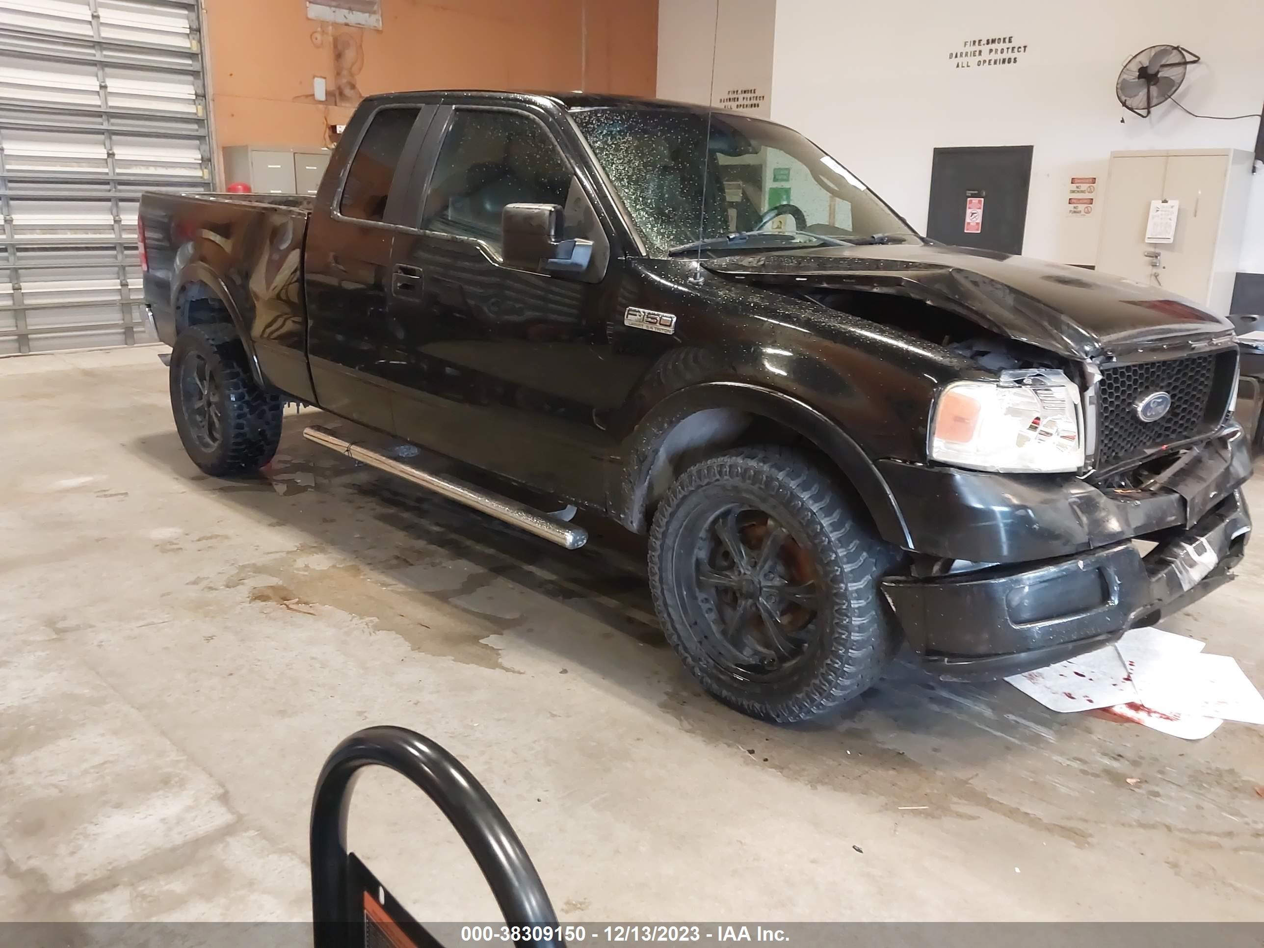 FORD F-150 2005 1ftpx12555fa62409