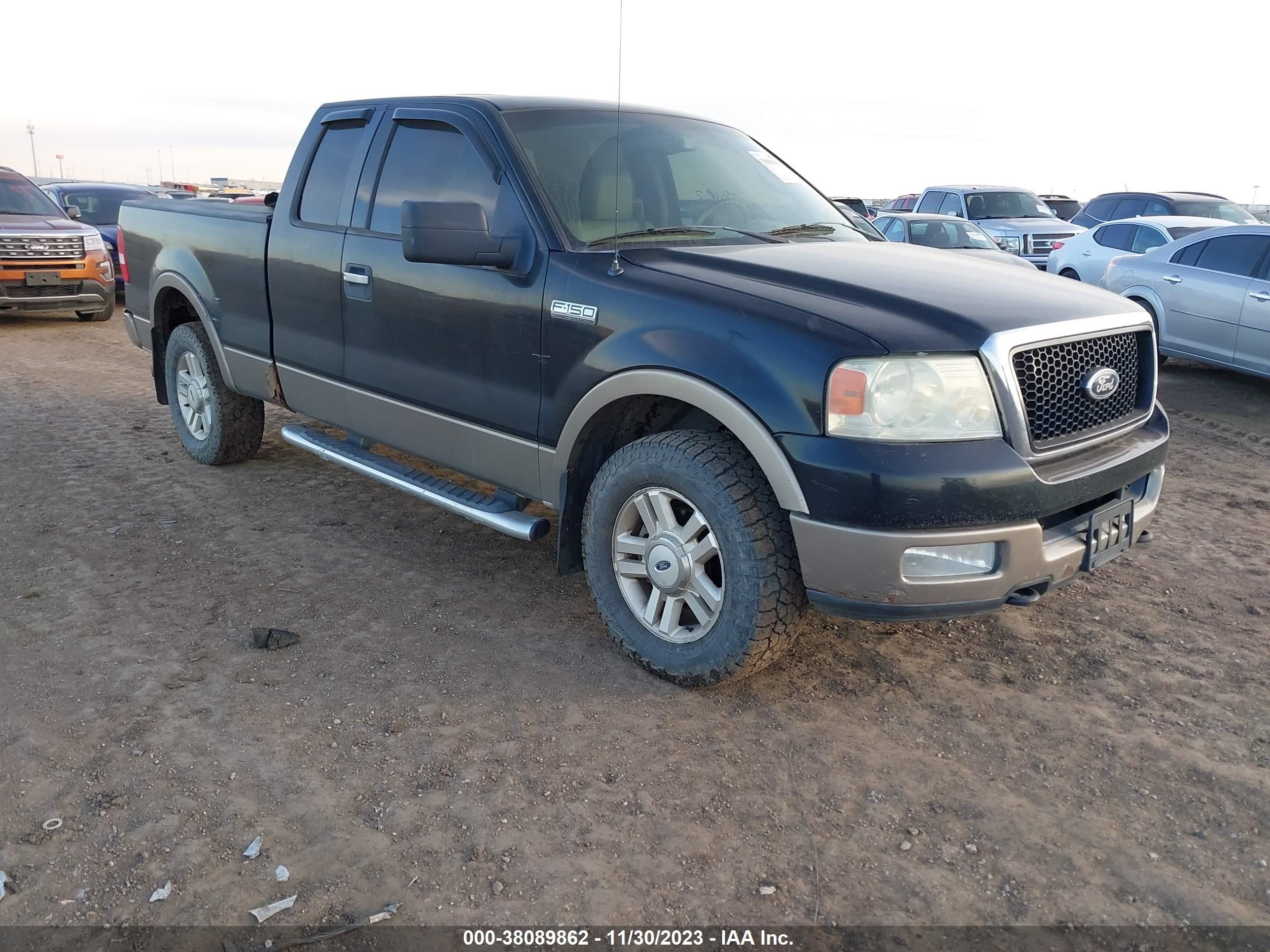 FORD F-150 2004 1ftpx14524nb37858