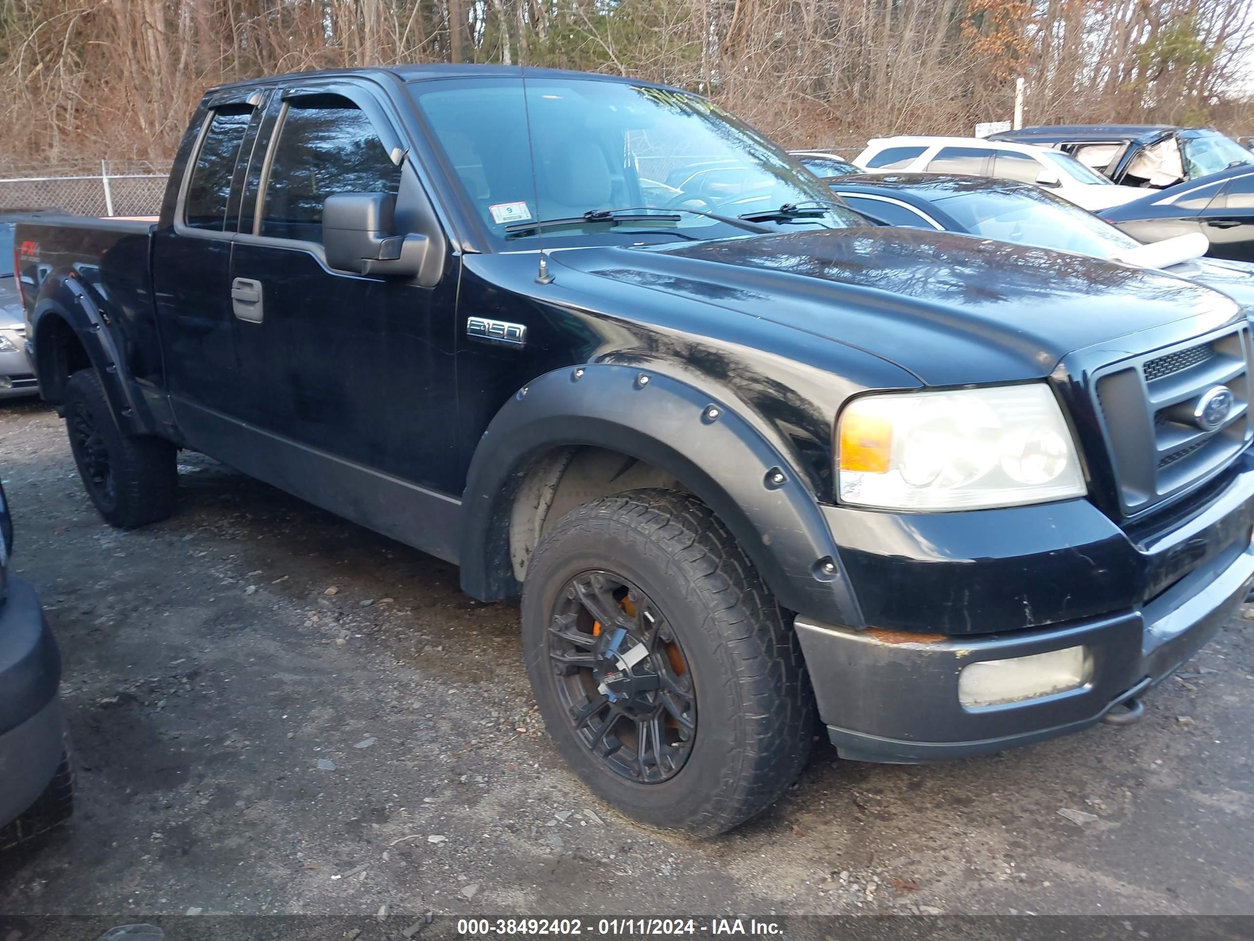 FORD F-150 2004 1ftpx14554nb13618