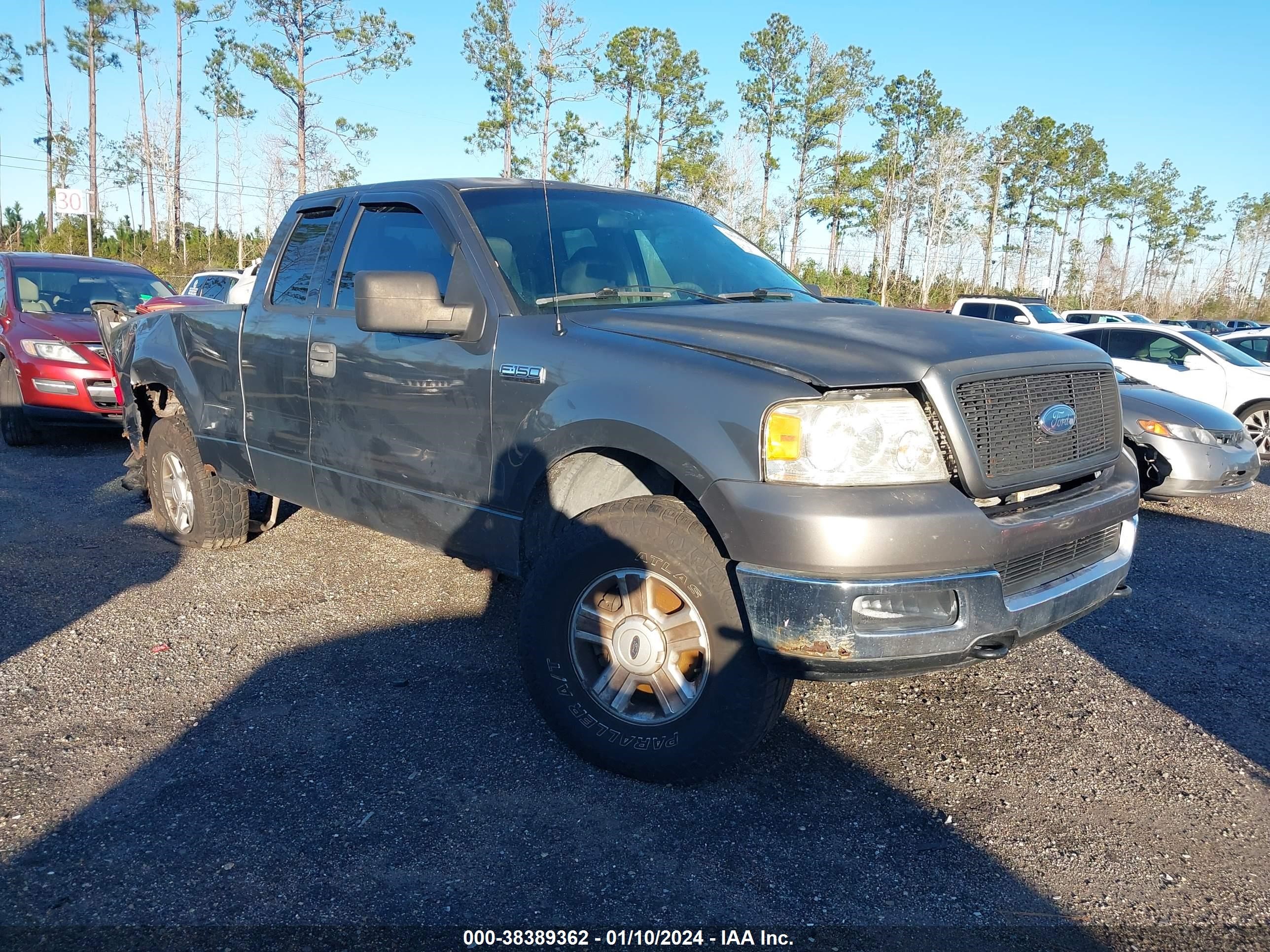 FORD F-150 2004 1ftpx14554nc12245