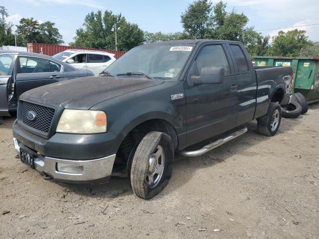 FORD F150 2005 1ftpx14565nb75367