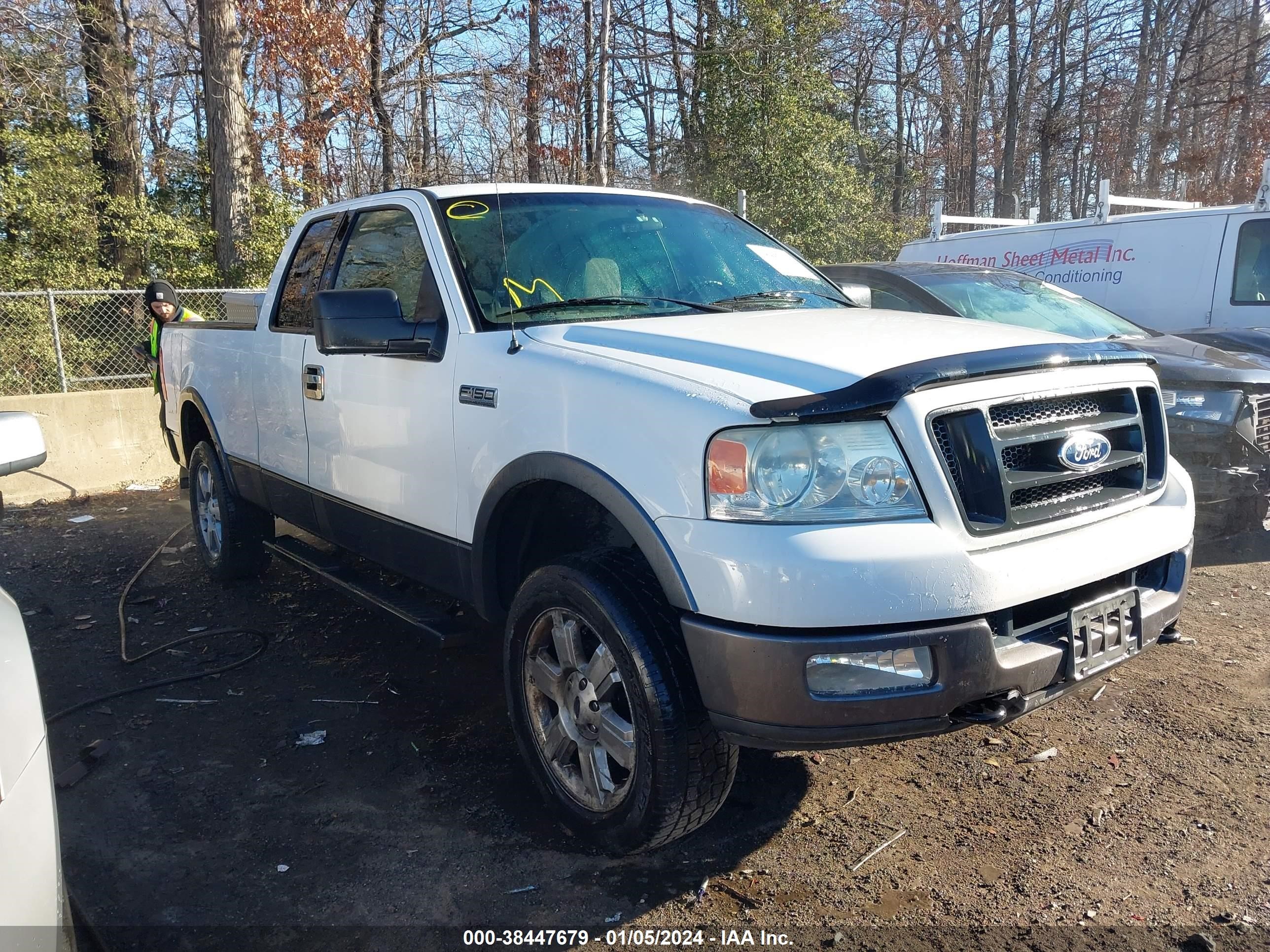 FORD F-150 2004 1ftpx14584nc46065