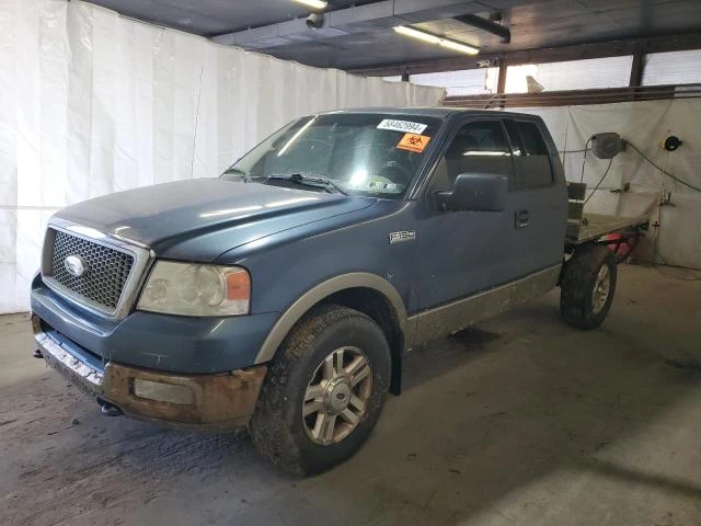 FORD F150 2004 1ftpx14594nb59257