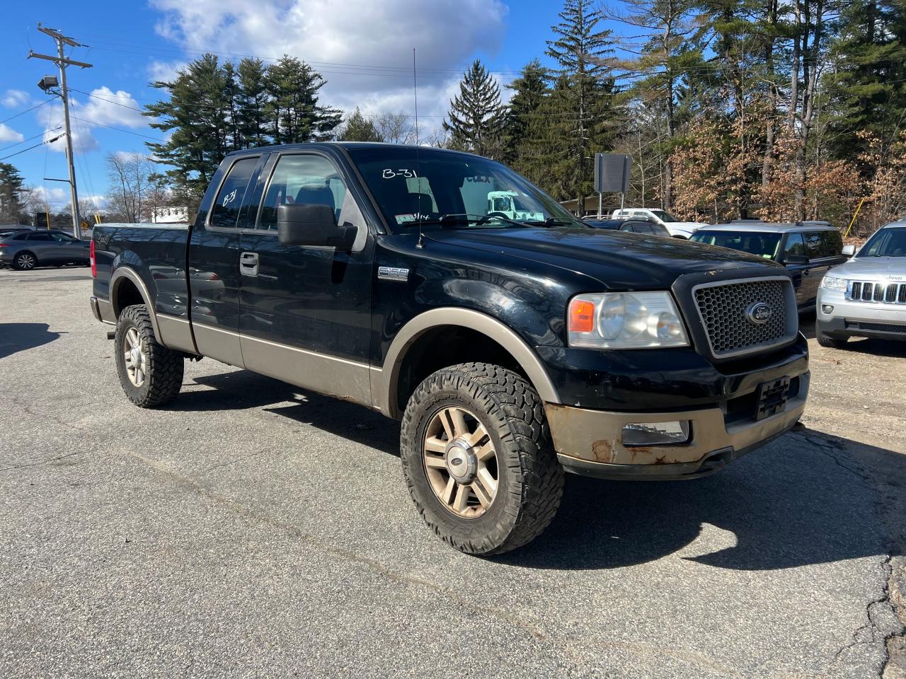 FORD F-150 2004 1ftpx14594nc03032