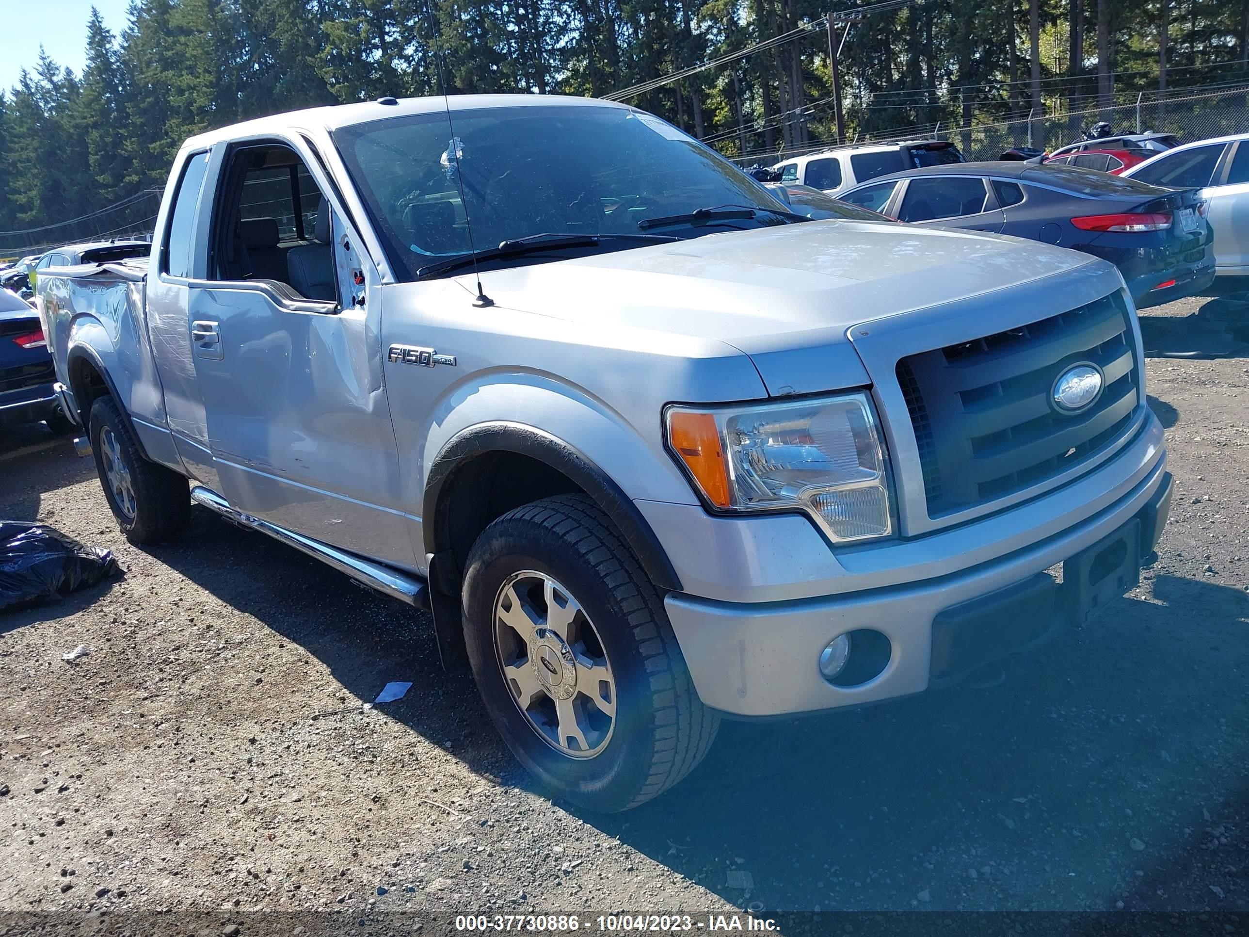 FORD F-150 2009 1ftpx14v19fa30754