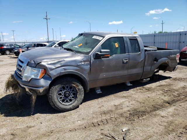 FORD F-150 2009 1ftpx14v29fa28916