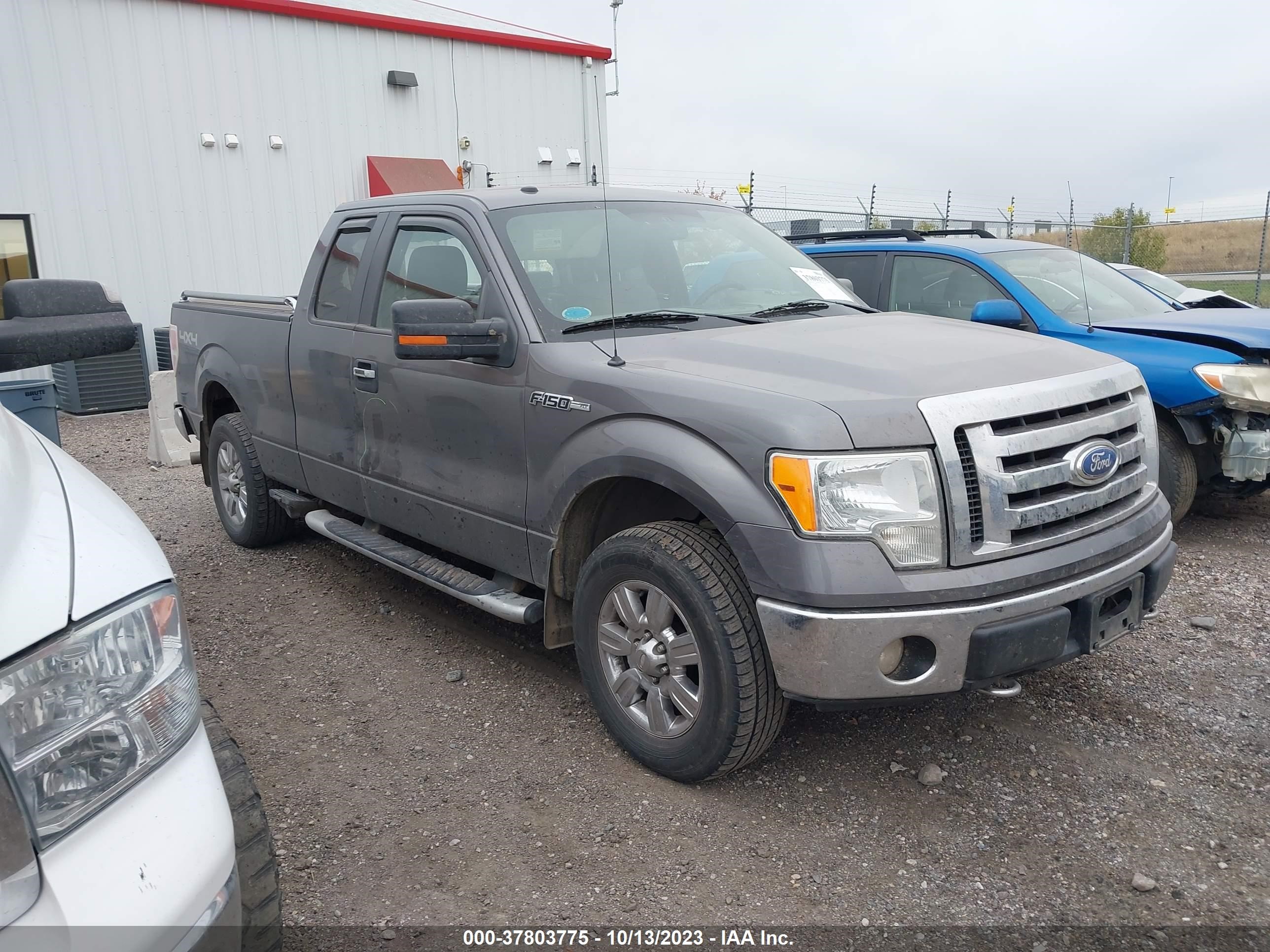 FORD F-150 2009 1ftpx14v49fa86154