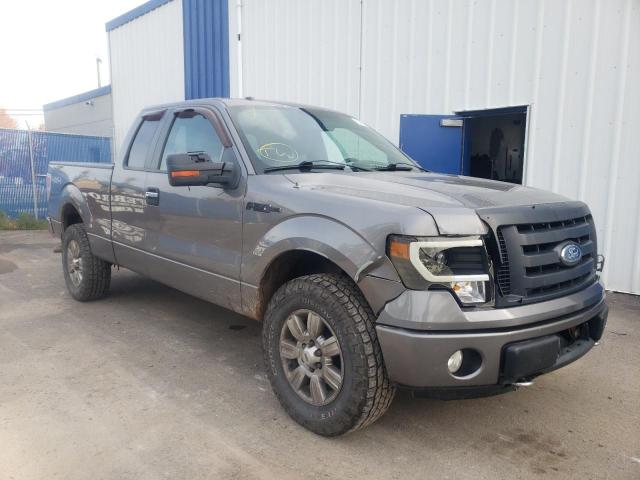 FORD F150 SUPER 2009 1ftpx14v69fa77374