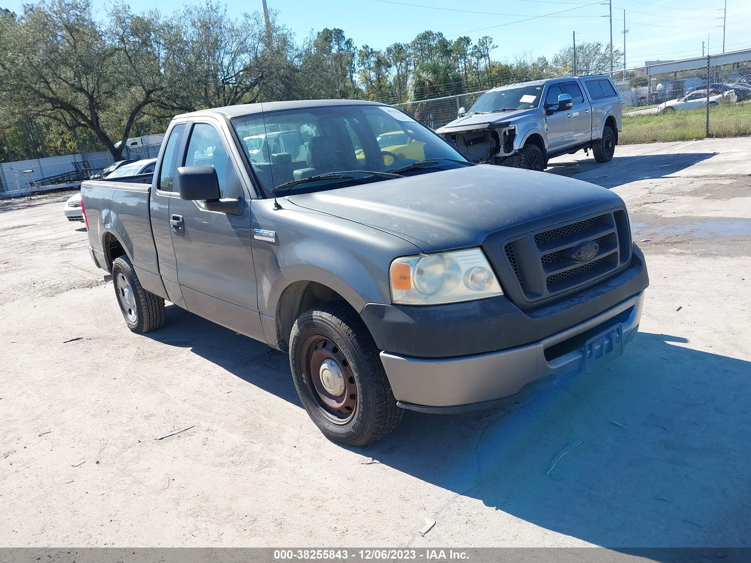 FORD F-150 2006 1ftrf12206nb31483