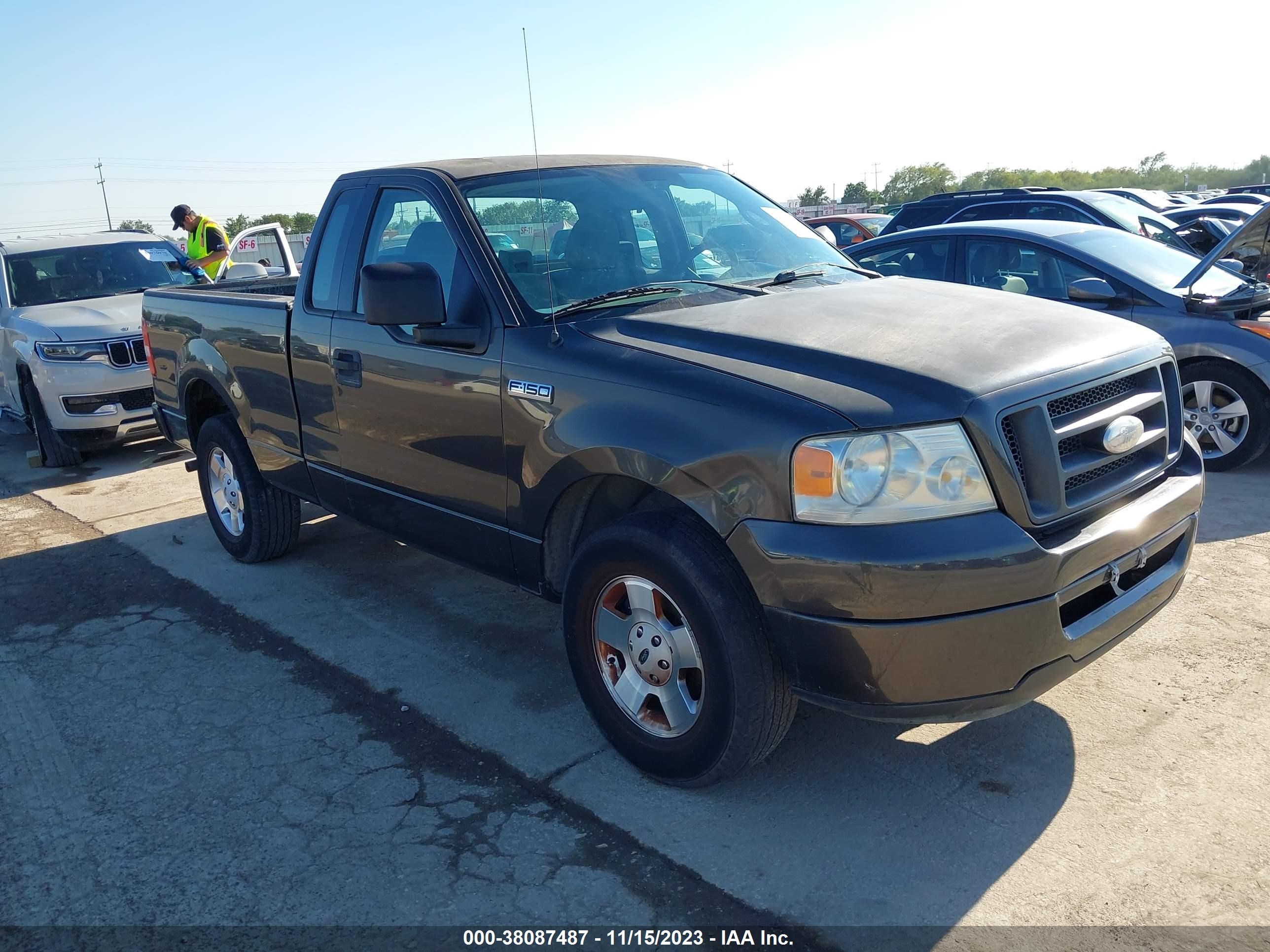 FORD F-150 2006 1ftrf12226na38626