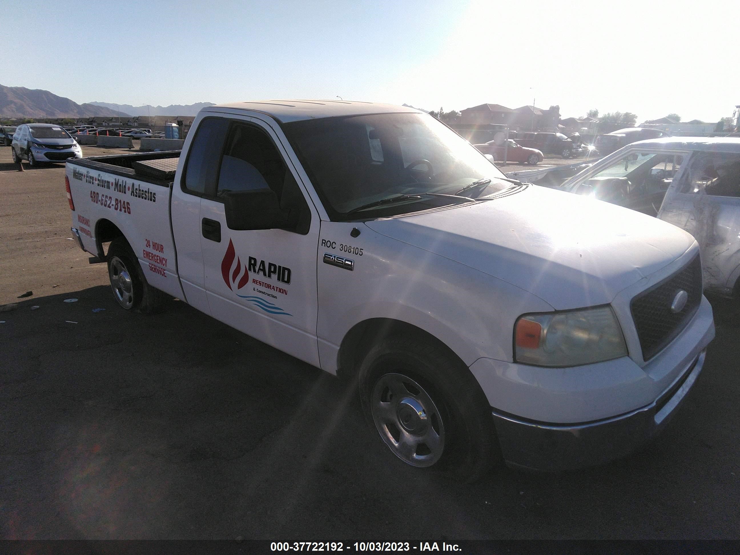 FORD F-150 2006 1ftrf12w66nb03867