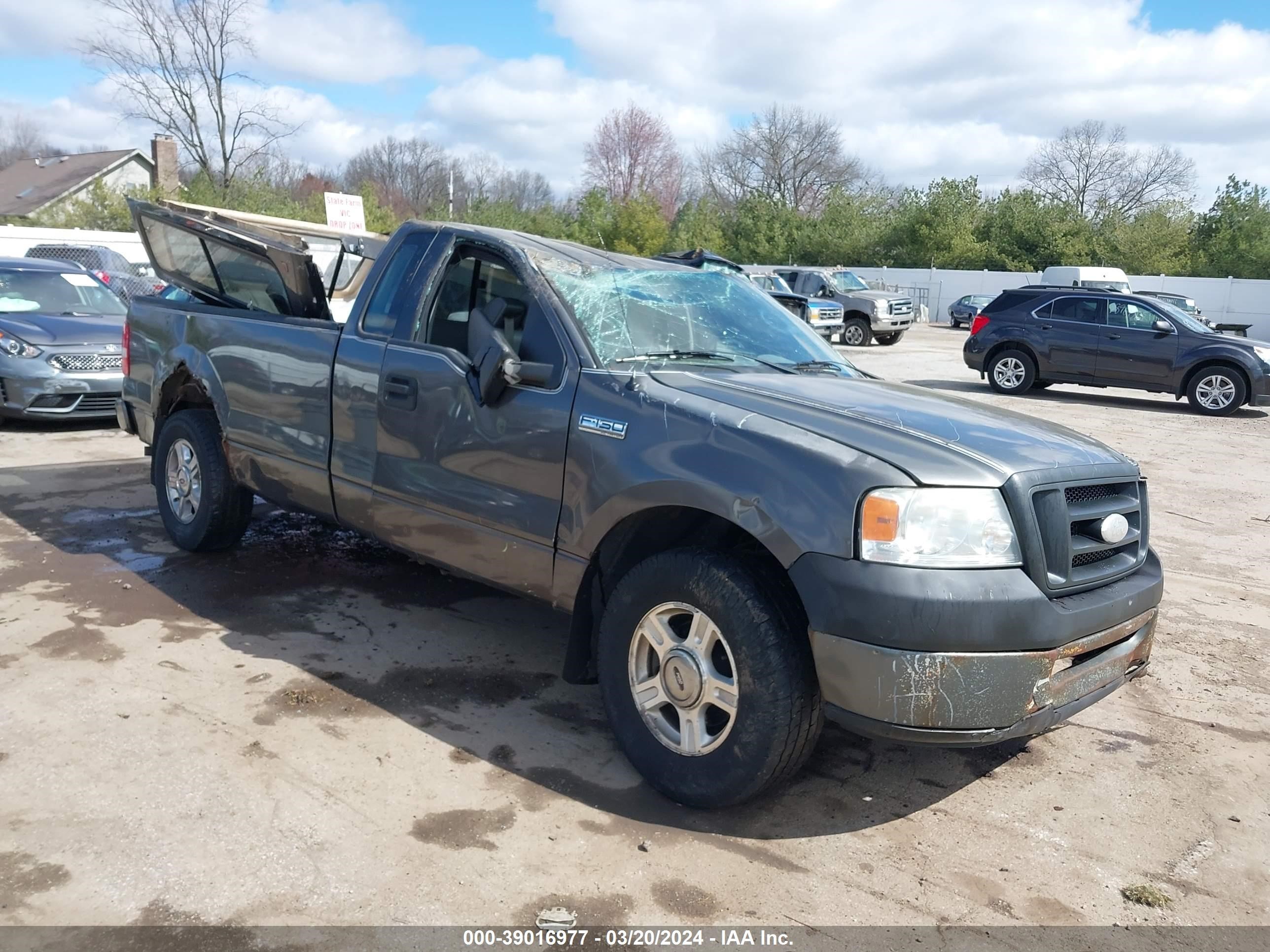 FORD F-150 2006 1ftrf12w66nb42197