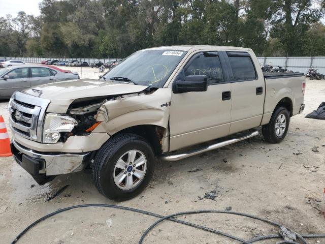 FORD F-150 2009 1ftrw12809kb50495