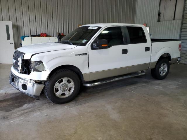 FORD F-150 2009 1ftrw12839fa52666