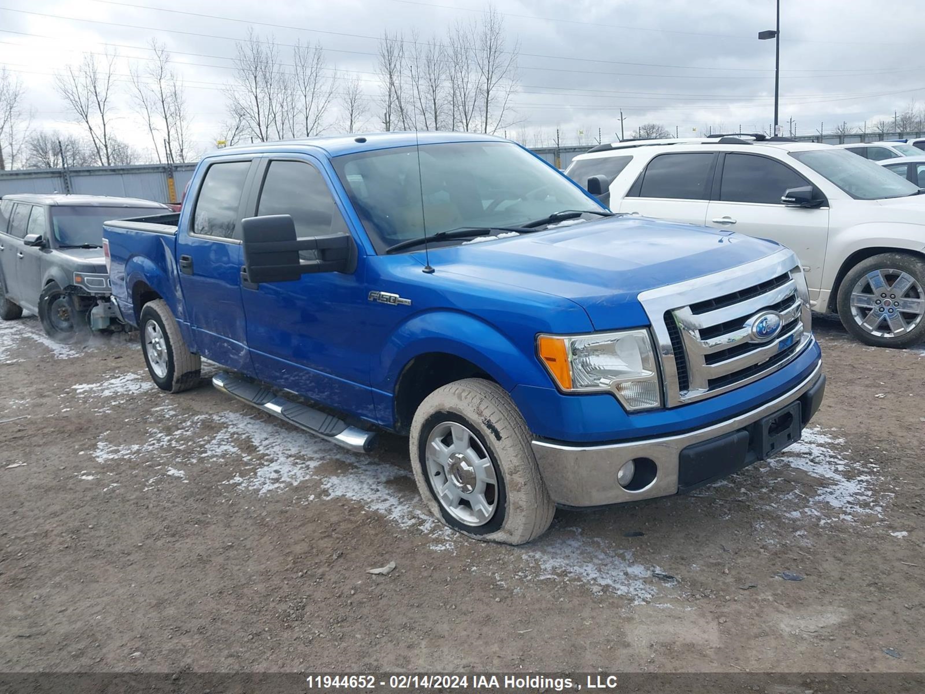 FORD F-150 2009 1ftrw12869fb04050