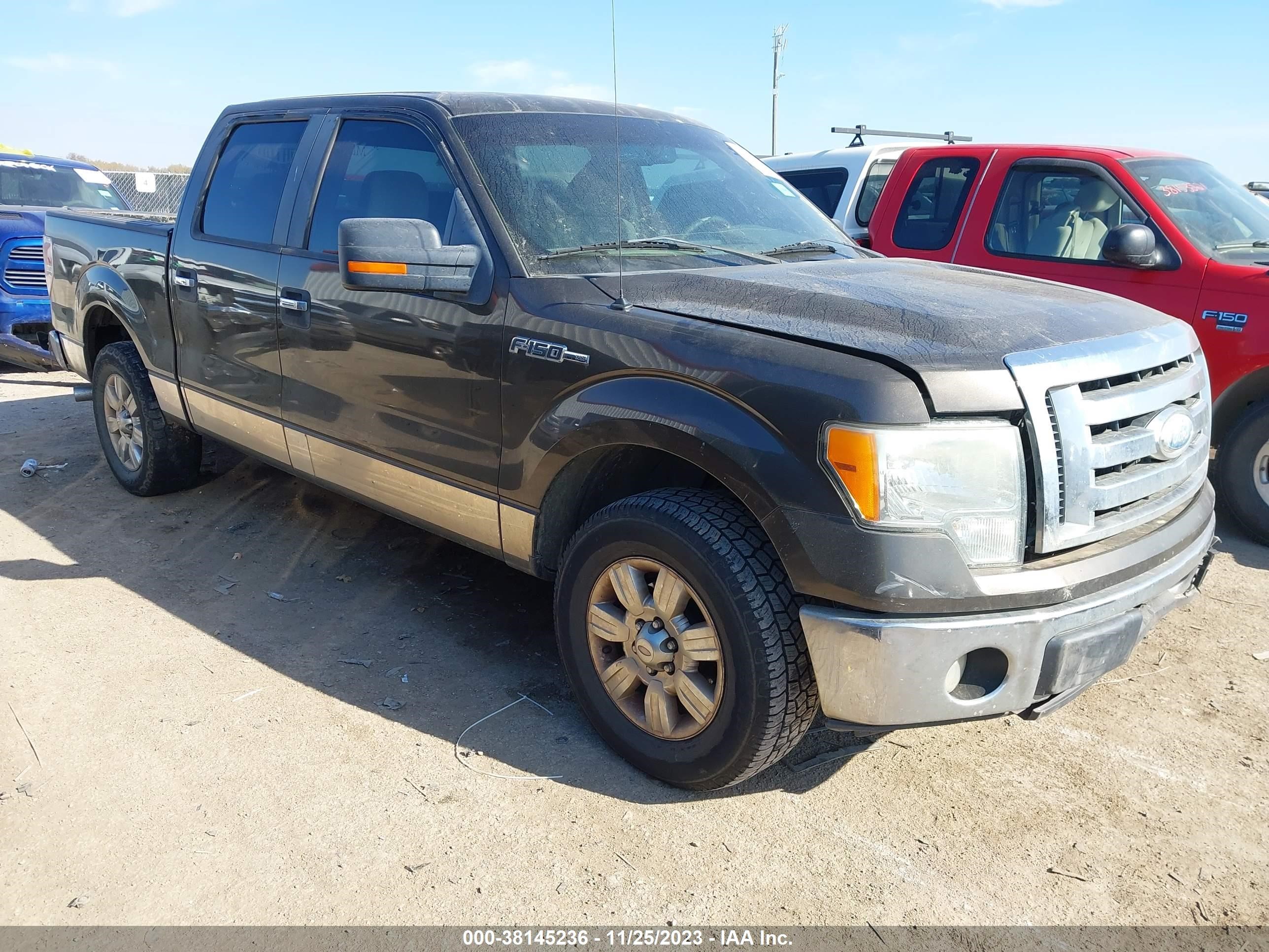 FORD F-150 2009 1ftrw12889kc23435