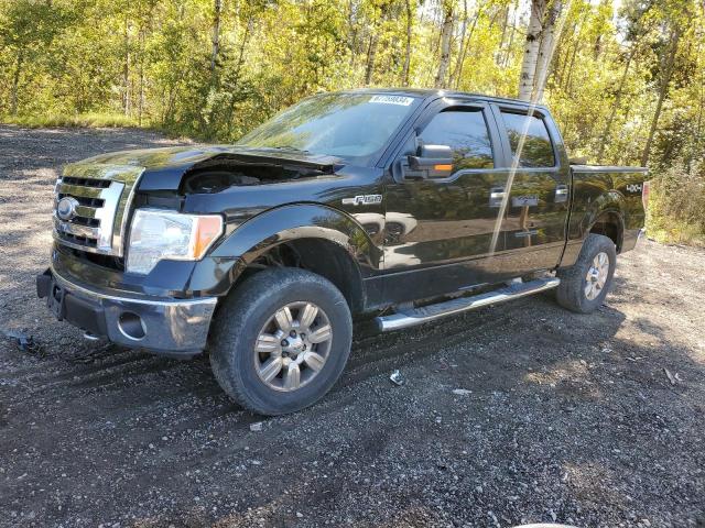 FORD F150 SUPER 2009 1ftrw14849fa54097