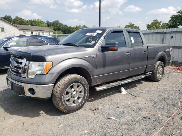 FORD F150 SUPER 2009 1ftrw14849fa94373