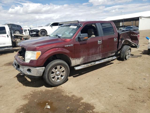 FORD F-150 2009 1ftrw14849kc90210